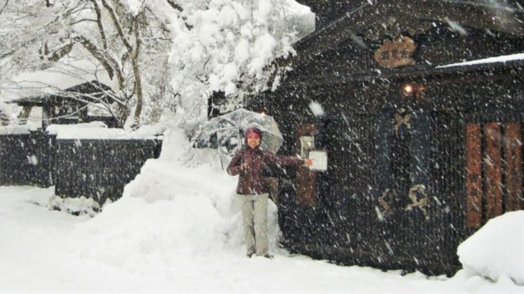 Hokkaido in Winter - A blizzard hit while in Sapporo