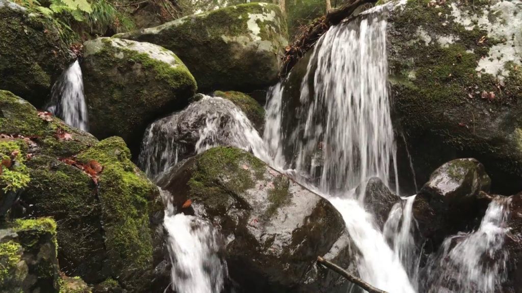 Natural Trip【0080】