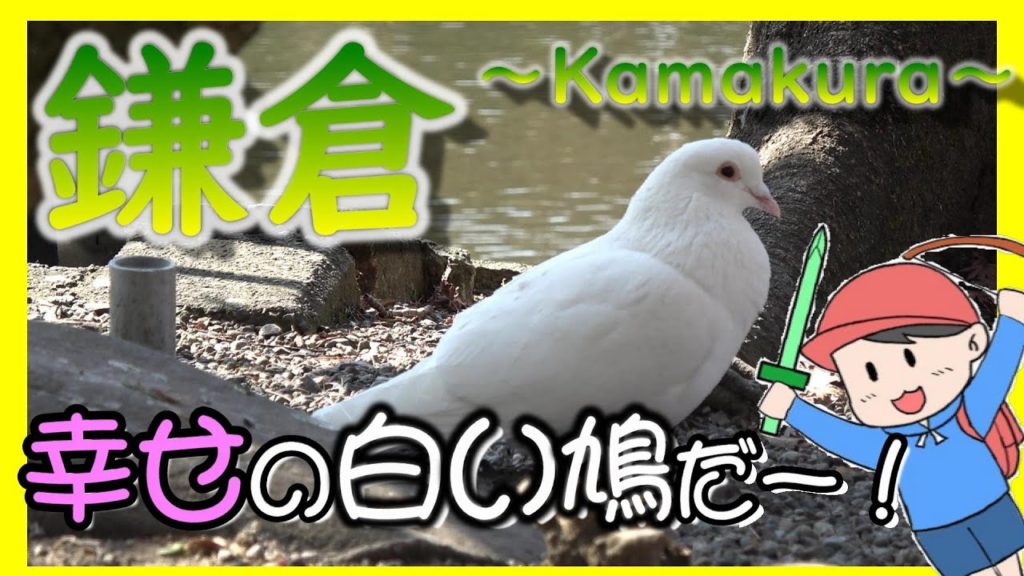 【旅Vlog】歴史と自然の宝庫！鎌倉を味わい尽くす！【前編】～Japan Travel Guide～