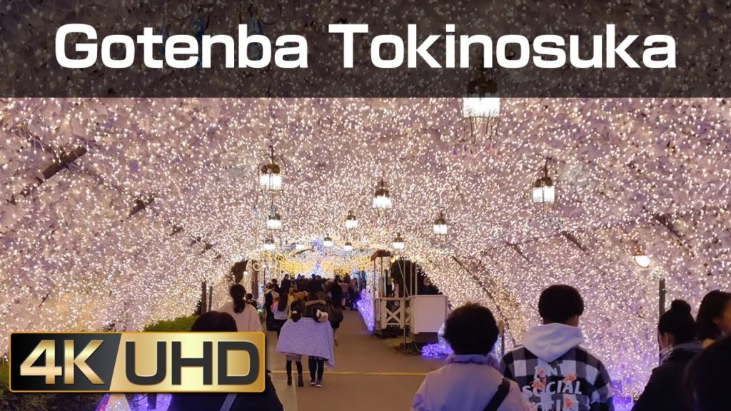 [4k] Walk around Tokino Sumika Illumination in Gotemba Kogen Resort(Shizuoka)