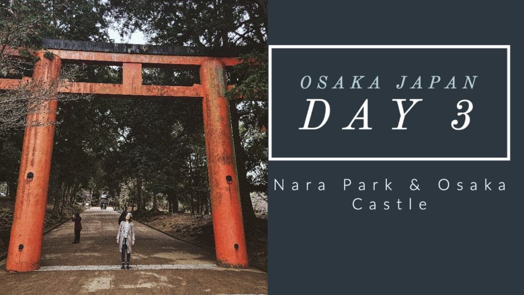 OSAKA JAPAN DAY 3: NARA PARK & OSAKA CASTLE