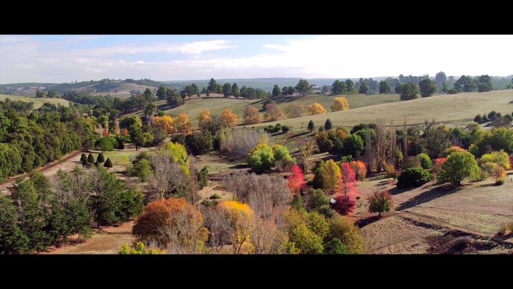 Balingup Golden Valley Tree Walk
