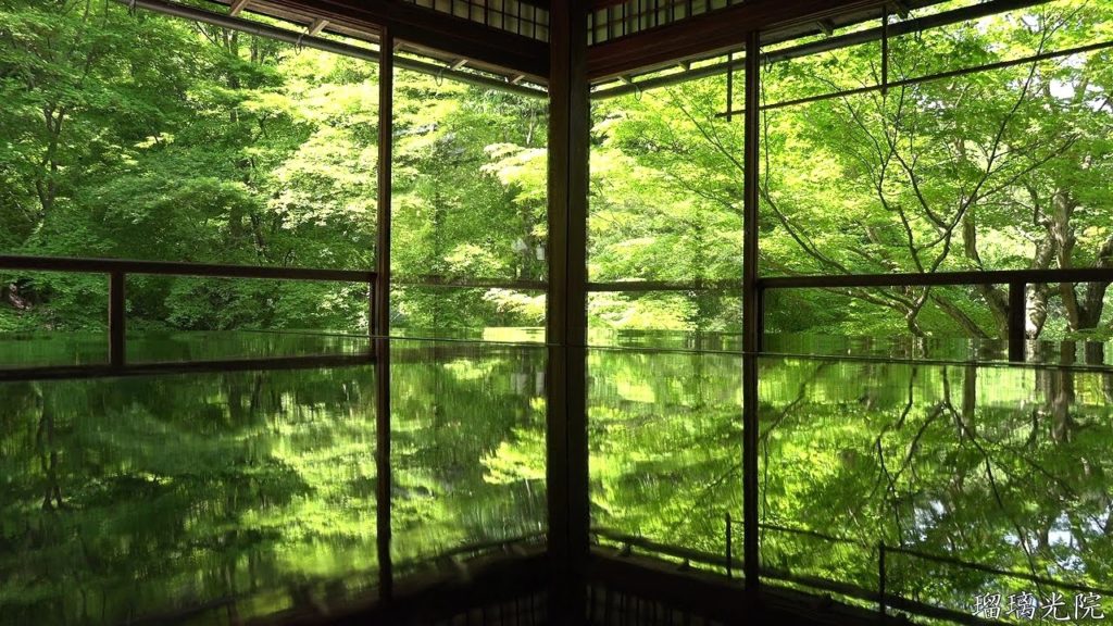 【4K】新緑の京都(2017/4/28・5/3・5/5)