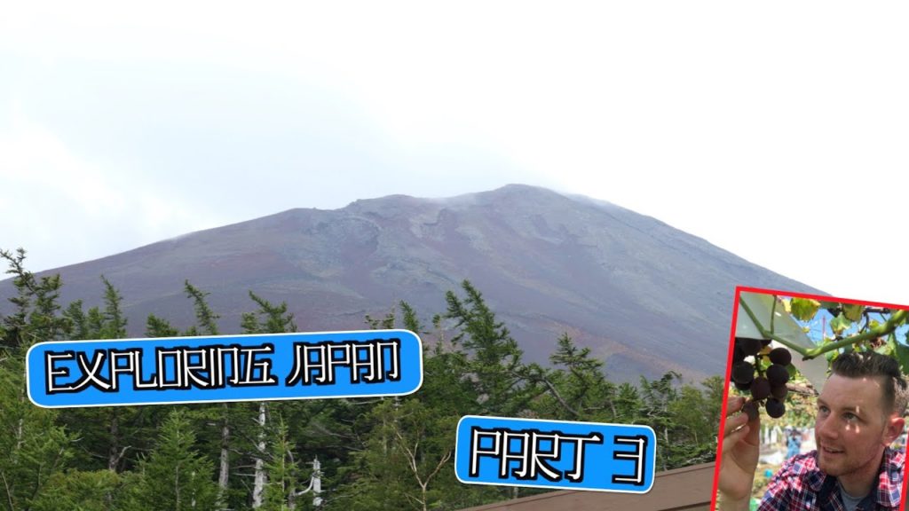 Exploring Japan Part 3 - Picking grapes 🍇, Mt. Fuji 🗻, and ... MORE SHRINES ⛩