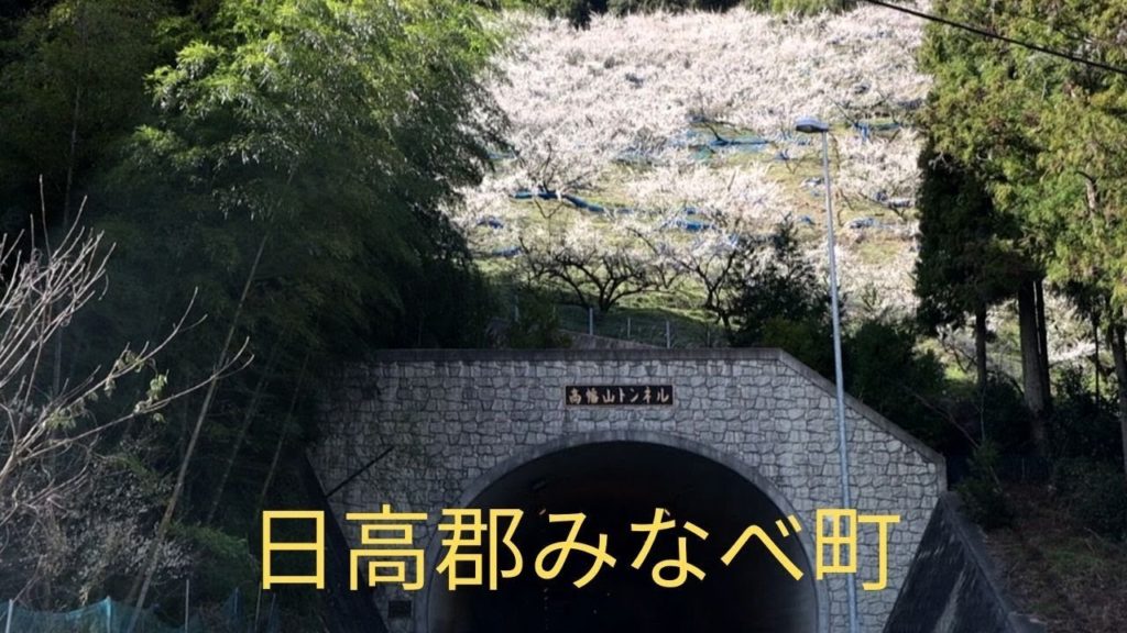 Minabe town is a countryside with a lot of Ume Travel Japan うろうろ日高郡