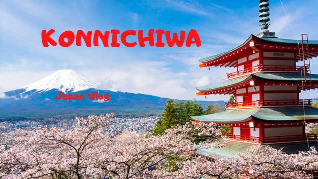 Japanese Animals : Japan Vlog #1