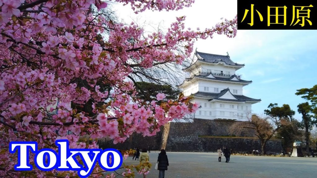 HQ Sound🎧 Walking Tokyo 🚶‍♂️ Odawara Honcho　小田原・本町 の街と、小田原城 を散策　【高音質】Japan