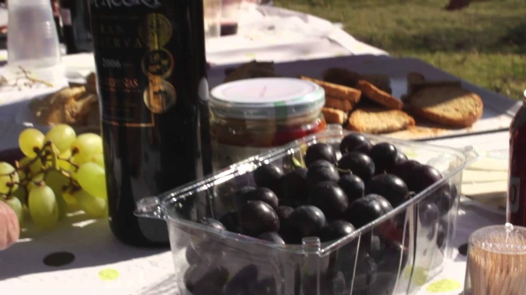 Promo Travelbike Tours