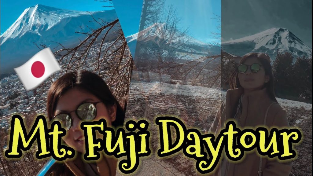 Nigh Bus from Osaka to Tokyo | Mt. Fuji | Shibuya Crossing with Hachiko | Japan Tour