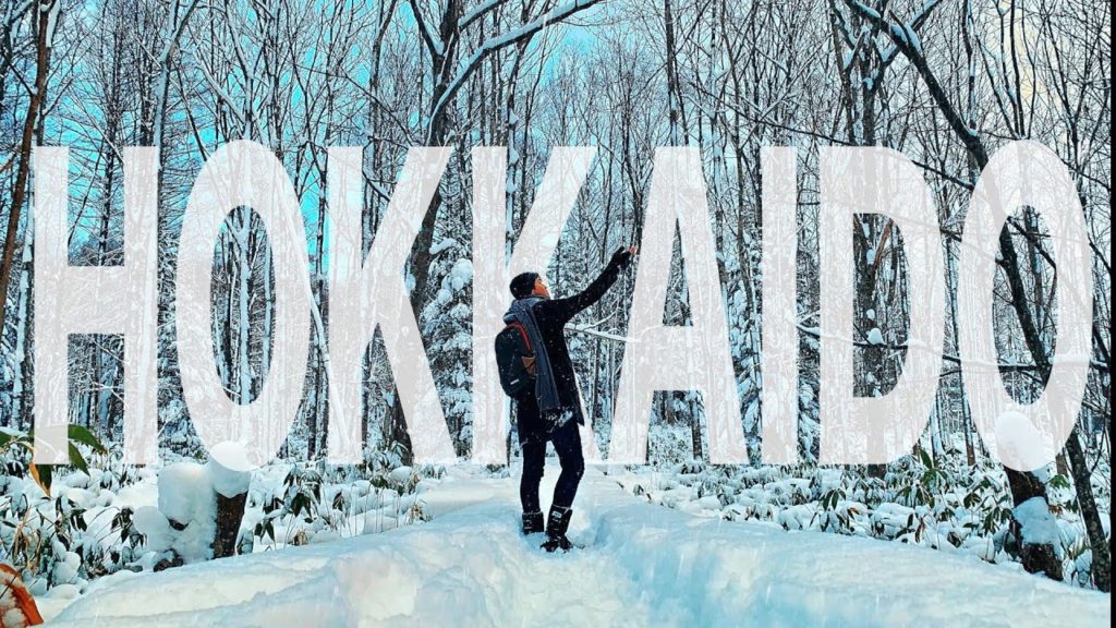 POWDER SNOW in Hokkaido Japan | SONY6400 + OSMO pocket + DJI Spark | FIRST CINEMATIC VIDEO!