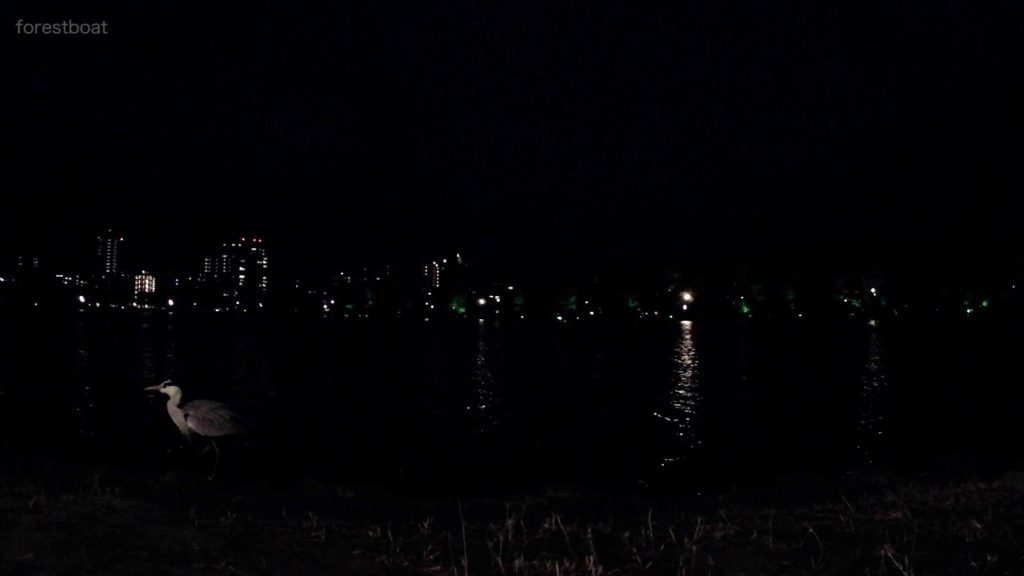 20200130 大濠公園 福岡市 / Ohori Park, Fukuoka, Japan