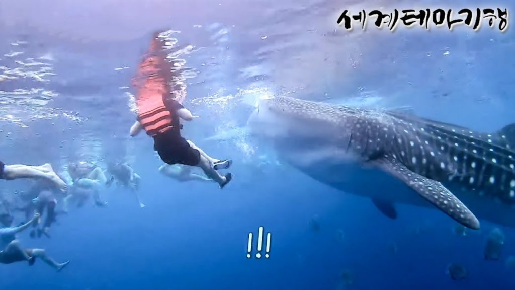 [Full] 세계테마기행 - 놀라운 아시아, 미얀마 필리핀- 그 섬엔 고래상어가 산다. 세부