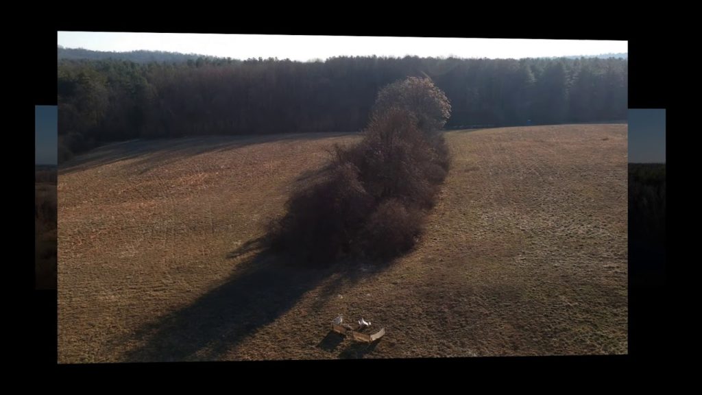 Test flight DJI Spark