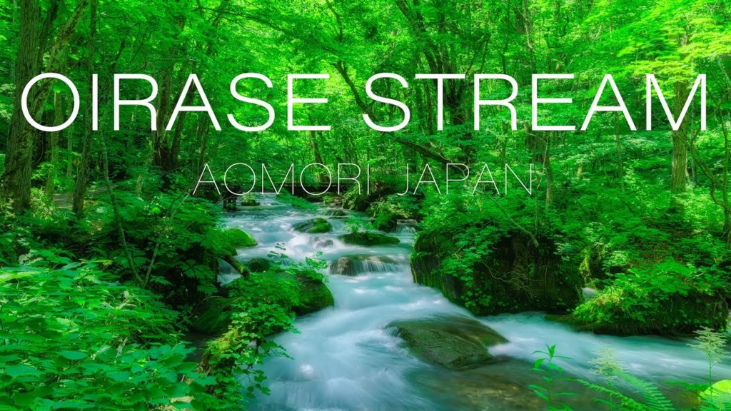 Oirase Stream 新緑が美しい奥入瀬渓流の風景 Fresh Green  Lake Towada Travel,Nature in  Aomori Tohoku Japan [4K UHD]