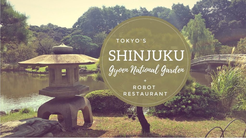 Shinjuku Tokyo – Japan Travel Vlog 2 Shinjuku Tokyo - Japan Travel Vlog 2