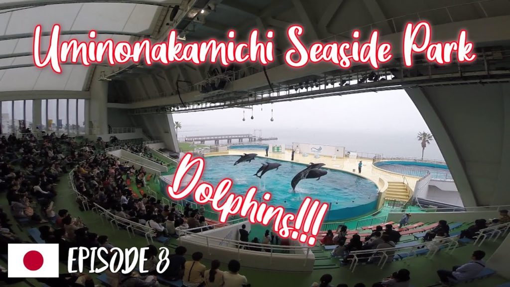 Marine World Uminonakamichi Seaside Park | Japan Travel Vlog Episode 8