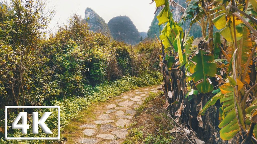 【4K】BEAUTIFUL CHINA - Walking Tour China - Nature Video - Relaxation Ambience - Ultra HD (60fps) 🌲