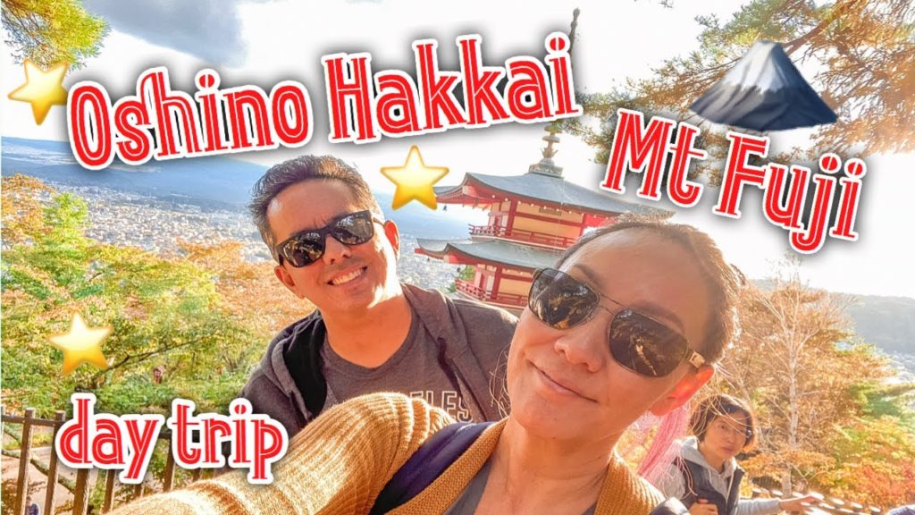 TOKYO DAY TRIP | where to go to be a NINJA | MT FUJI | CHUREITO PAGODA
