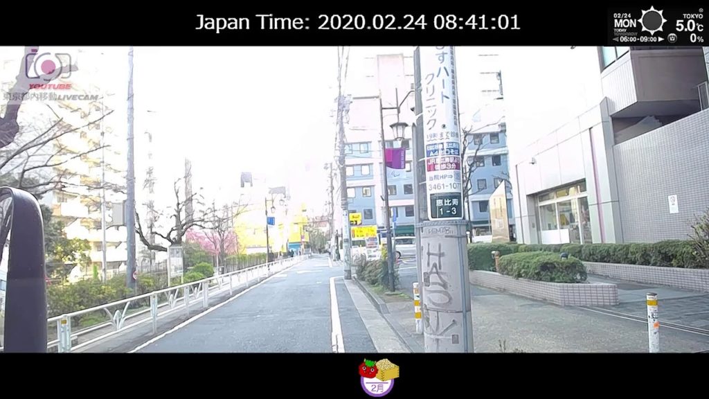 東京都内移動ライブカメラ/Tokyo City Live Camera