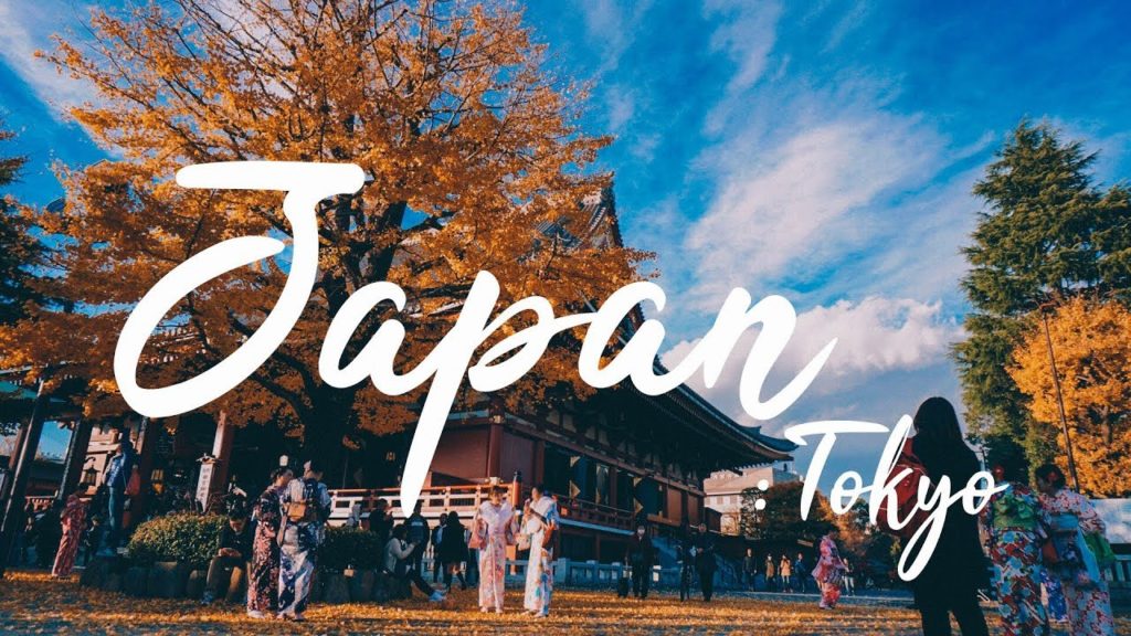 Japan Travel Vlog : Tokyo