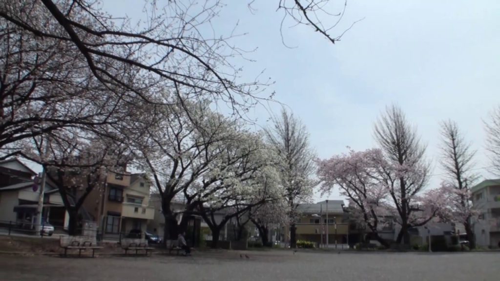 小さな旅・千葉公園の春(桜)(Chiba)