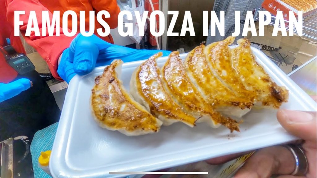 Japan Famous Gyoza - Osaka Experience