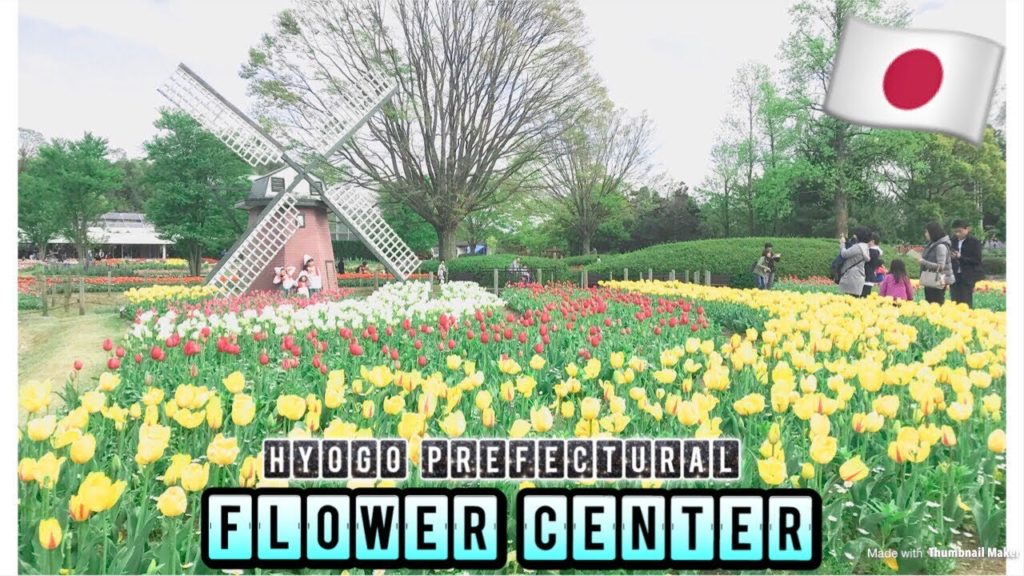 FLOWER CENTER x TULIPS 2018 ( Kasai City, Japan) | ERIZA MARIE