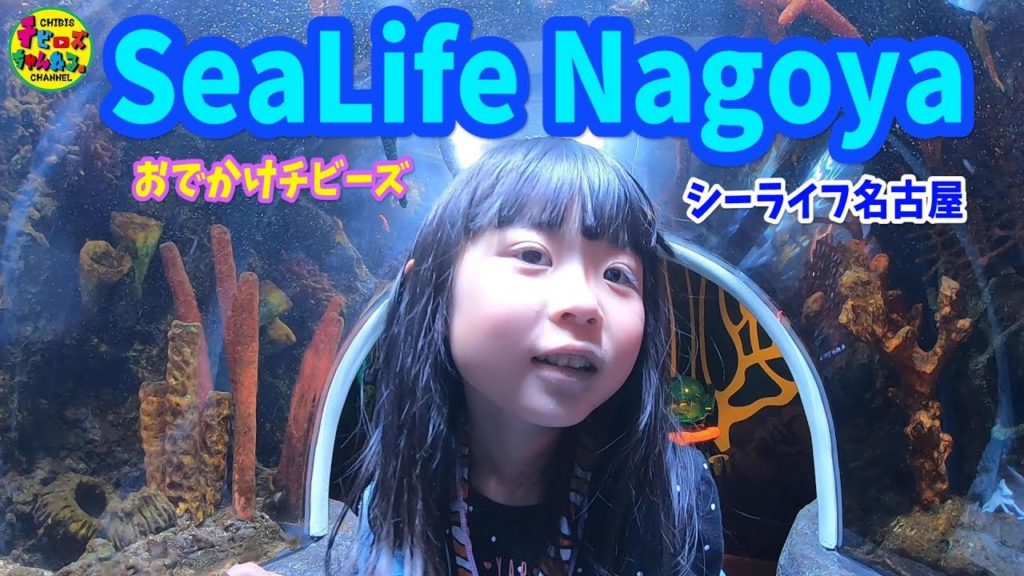 みんなで行こう！シーライフ名古屋SeaLife Nagoya
