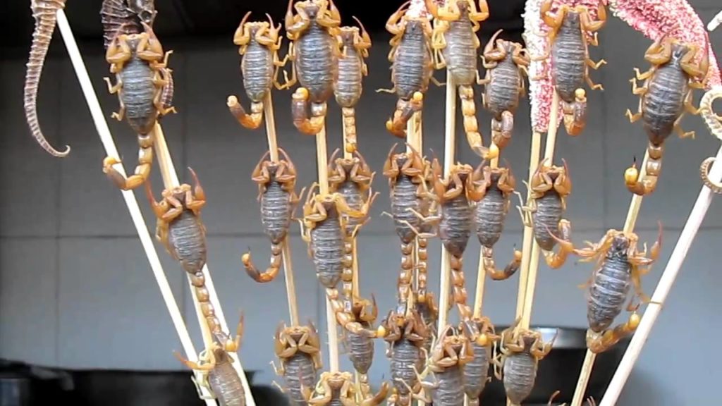 Beijing street food - scorpions!
