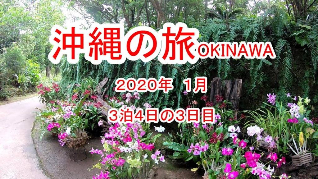 沖縄旅行 OKINAWA 3日目 島時間が流れるビオスの丘とジャンボステーキ満喫 沖縄旅行 OKINAWA 3日目 島時間が流れるビオスの丘とジャンボステーキ満喫