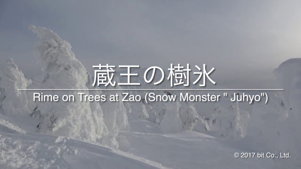 Rime on Trees at Zao(Snow Monster "Juhyo") Rime on Trees at Zao(Snow Monster "Juhyo")
