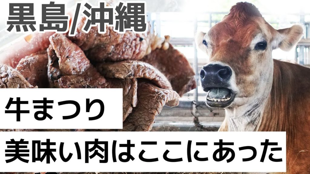 [4K] 黒島 / 年に１度の牛祭り！＆ 島の研究所　/　Kuroshima Island in Okinawa,Japan