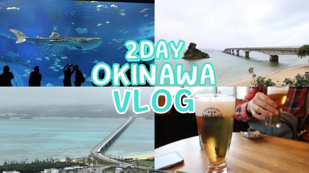 오키나와여행 VLOG 둘째날! 츄라우미수족관, 코우리대교, 오리온맥주박물관 오키나와여행 VLOG 둘째날! 츄라우미수족관, 코우리대교, 오리온맥주박물관