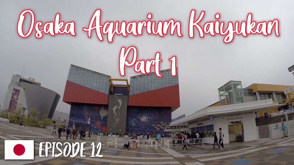 Osaka Aquarium Kaiyukan Part 1 | Japan Travel Vlog Episode 12 Osaka Aquarium Kaiyukan Part 1 | Japan Travel Vlog Episode 12