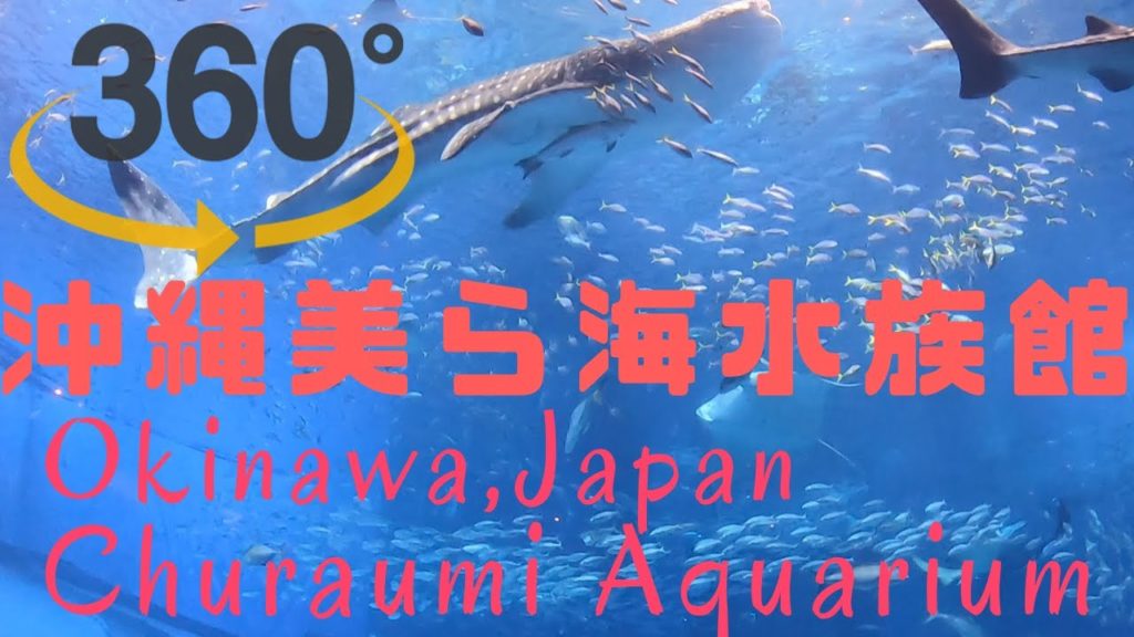 360VR[沖縄旅行]美ら海水族館 ちゅらうみ 大水槽Churaumi Aquarium Okinawa,Japan