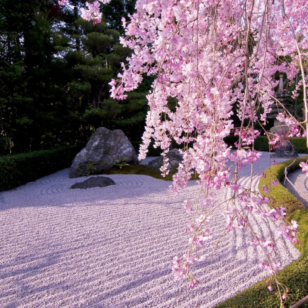 Ever wanted to experience a zen meditation session? At Taizoin Temple in Kyoto t...