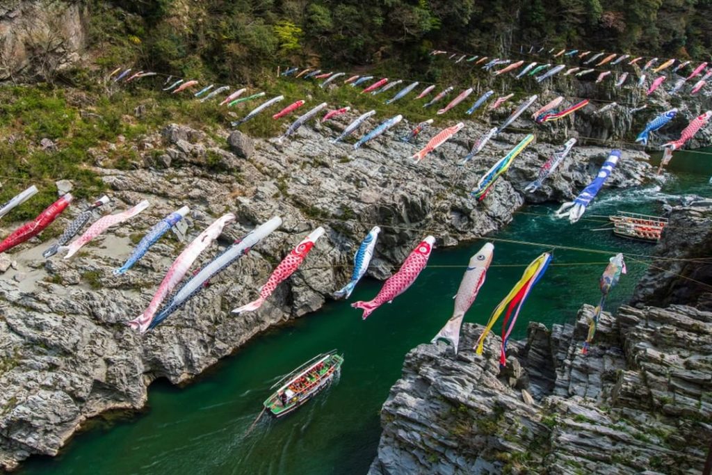 Koinobori (carp streamers) flying over the Yoshino River.  The Yoshino River win...