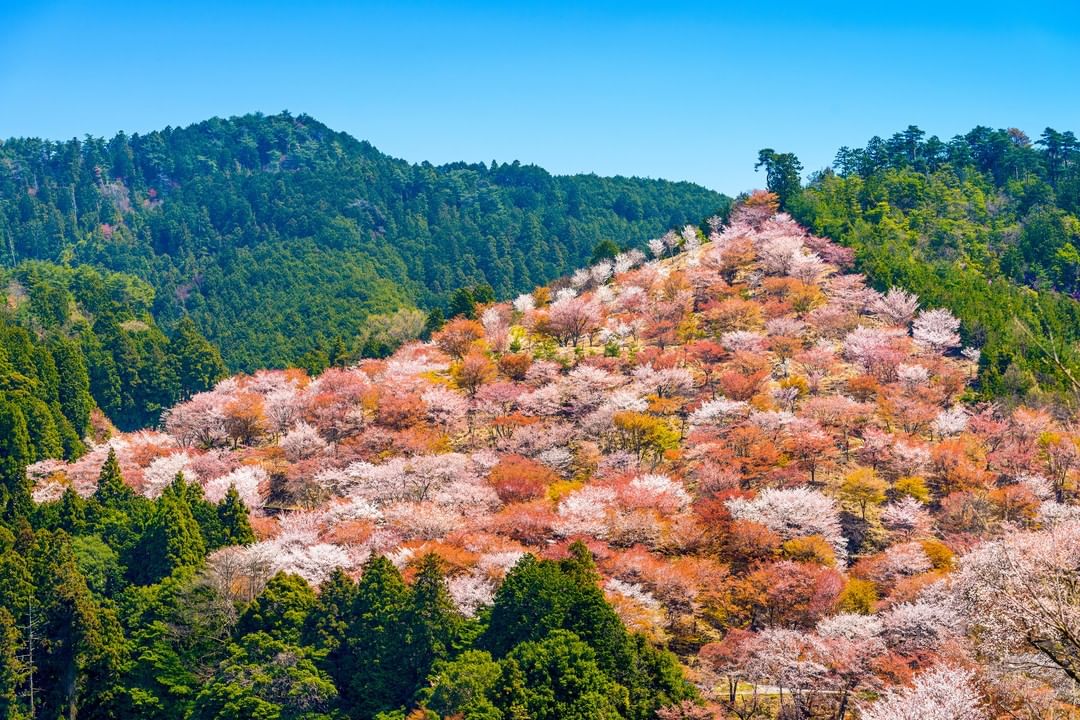 Visit Japan Located in Nara Prefecture in Japan’s Kansai region, Mount