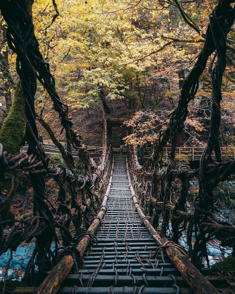 Deep in the mountains of Tokushima Prefecture, Shikoku, is a tiny village called...