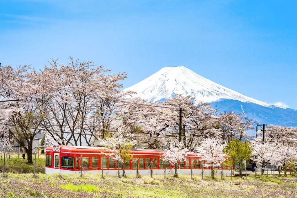Visit Japan: Springtime in Japan is a magical season, highlighted by the bloom of cherry blos… Springtime in Japan is a magical season, highlighted by the bloom of cherry blos...