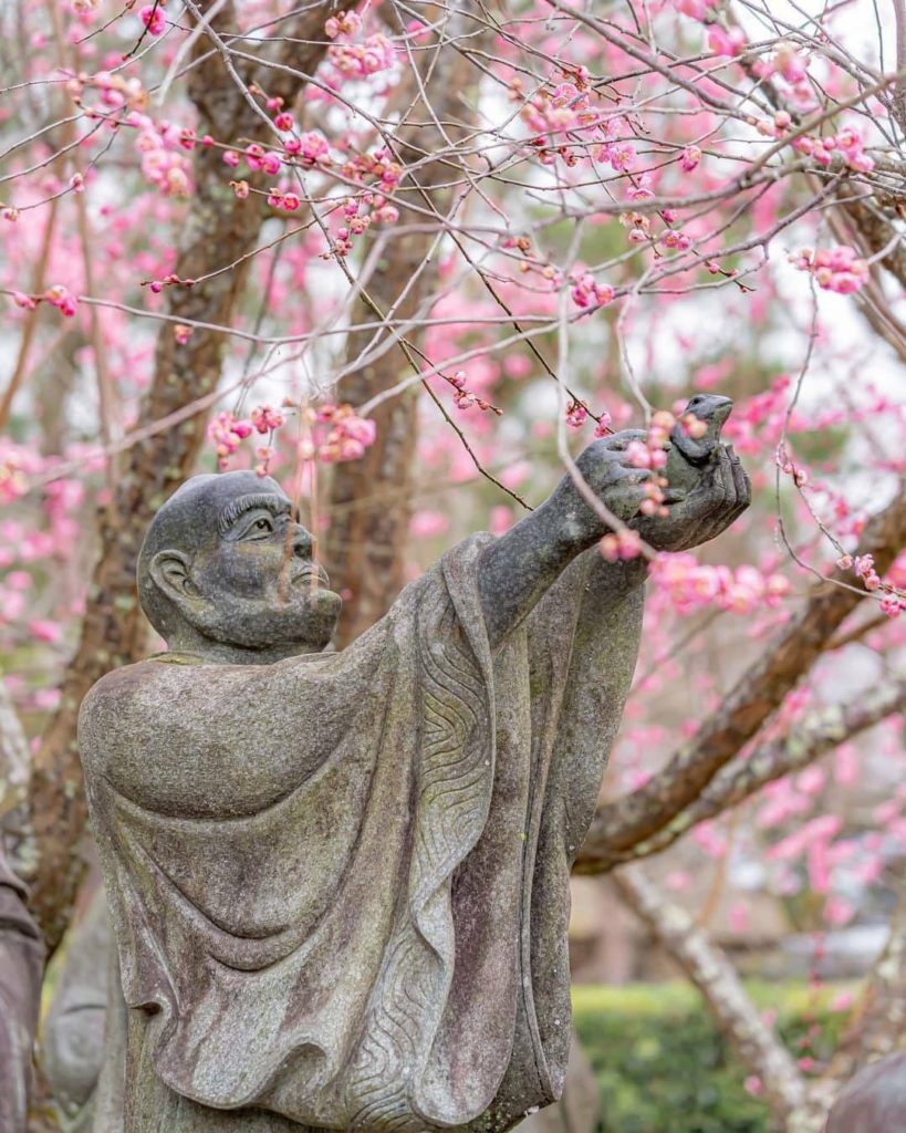 Japan Travel: There’s something so breathtaking about seeing glimpses of a new season! We’re … There's something so breathtaking about seeing glimpses of a new season! We're ...