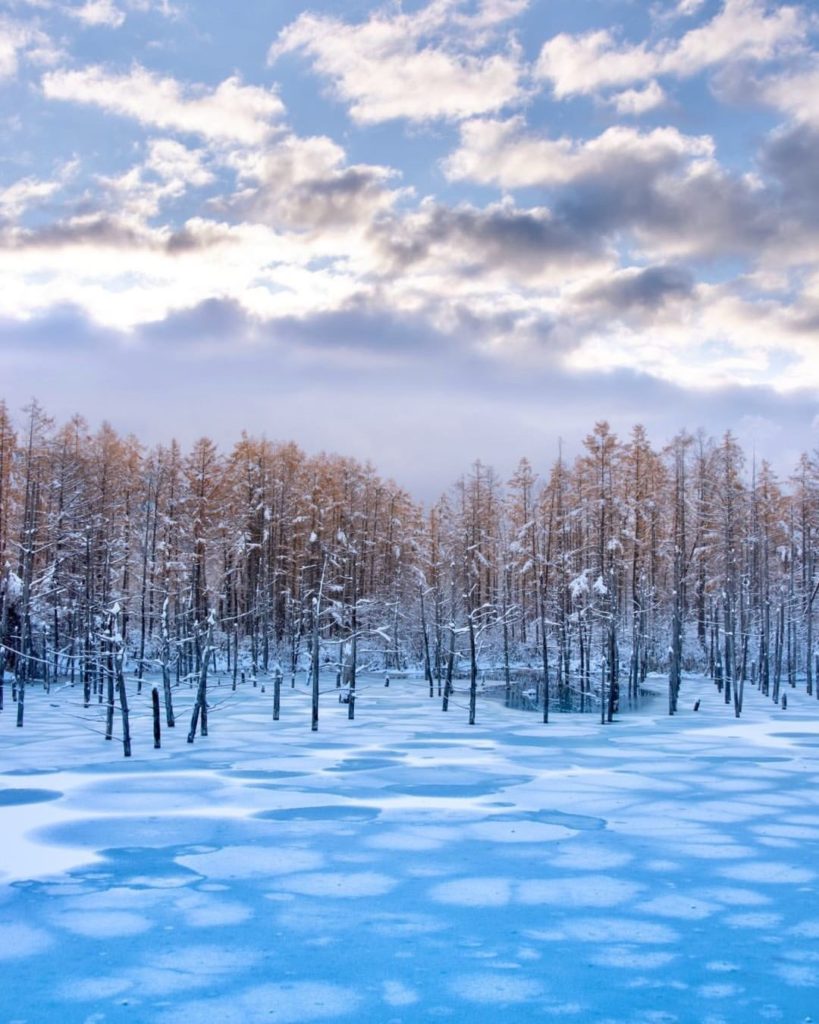 Japan Airline: .
The surface of Biei’s Blue Pond in Hokkaido reflects the cold winter season pe… .
The surface of Biei’s Blue Pond in Hokkaido reflects the cold winter season pe...