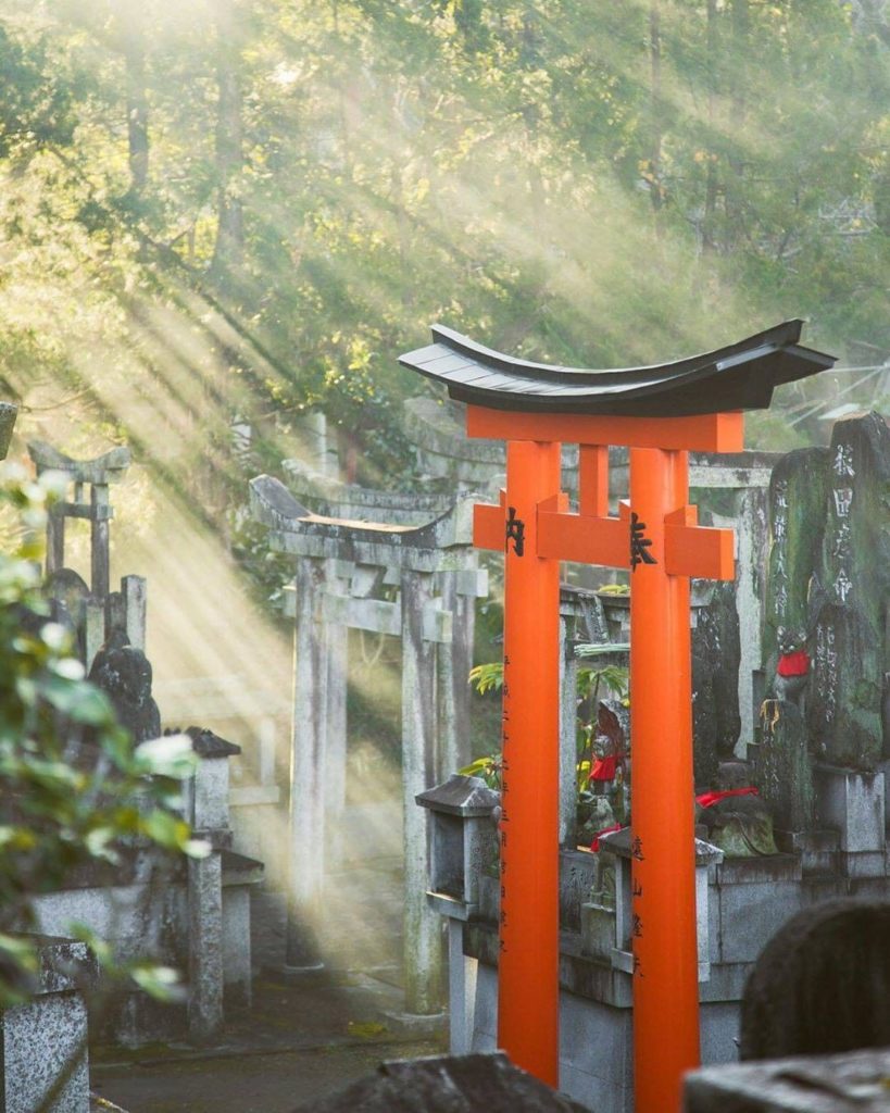 Japan Travel: A moment of quiet solitude and sunbeams at Fushimi-Inari in Kyoto. What’s your … A moment of quiet solitude and sunbeams at Fushimi-Inari in Kyoto. What's your ...