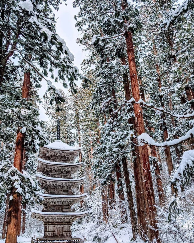 Before we know it, we're going to be bombarding your feeds with springtime cherr...