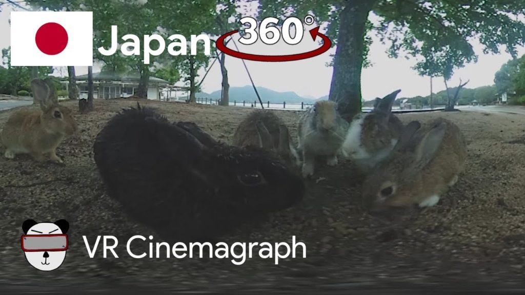 📽 360° Cinemagraphs: Rabbit Island | Okunoshima, Japan 🇯🇵