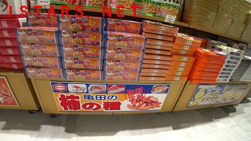 上越新幹線。新潟駅を歩く。