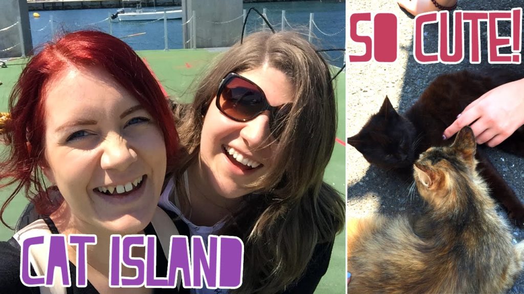 CAT ISLAND!! + Vegan Restaurant [Japan Trip 2016 Day 3]