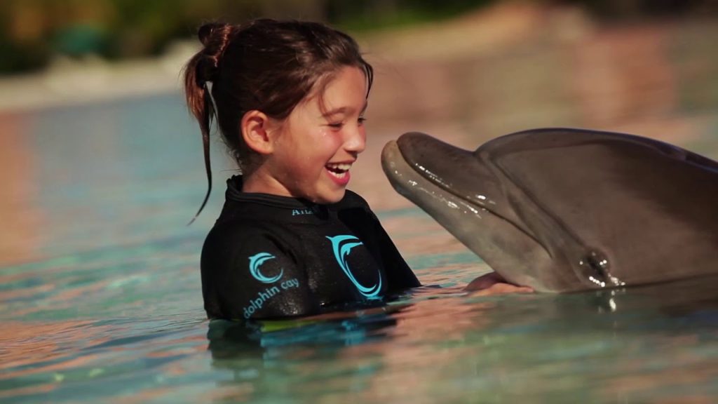 Dip 'N Discover at Dolphin Cay with FREE Aquaventure, Nassau, Bahamas