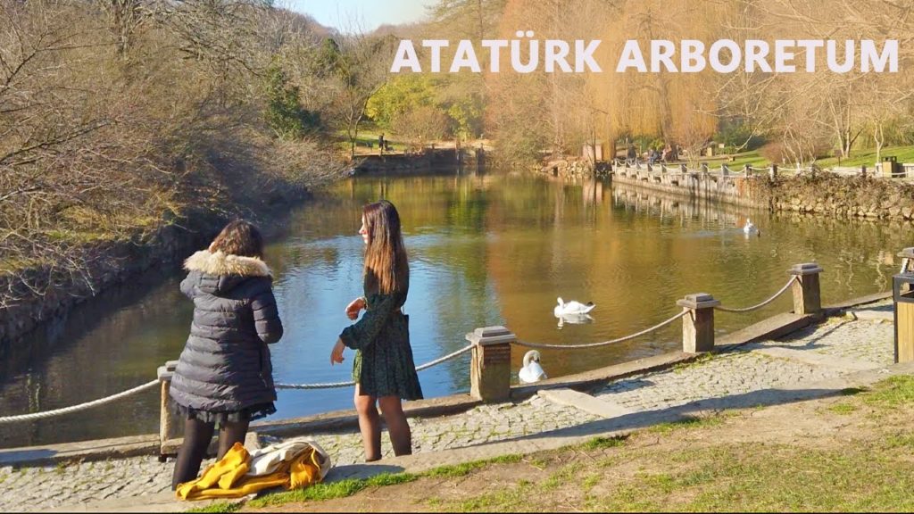 Walking in the Ataturk Arboretum | Istanbul Sariyer February 2020 | Osmo Pocket 4K 60fps