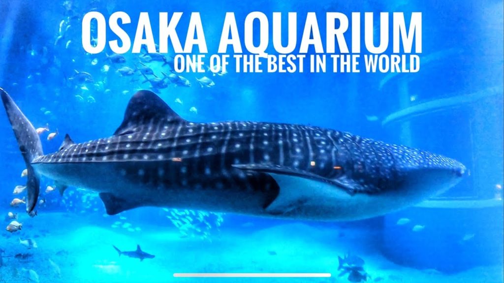 OSAKA AQUARIUM KAIYUKAN EXPERIENCE - JAPAN